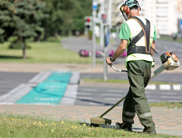 Lorem ipsum dolor  sit amet nsectetur.